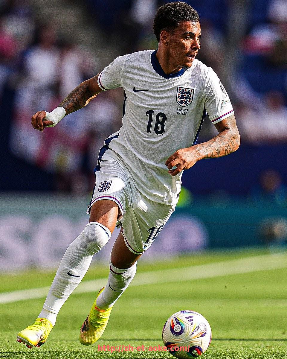 澳客足彩-NBA大白边球员分析:解析NBA大白边球员的风格与贡献